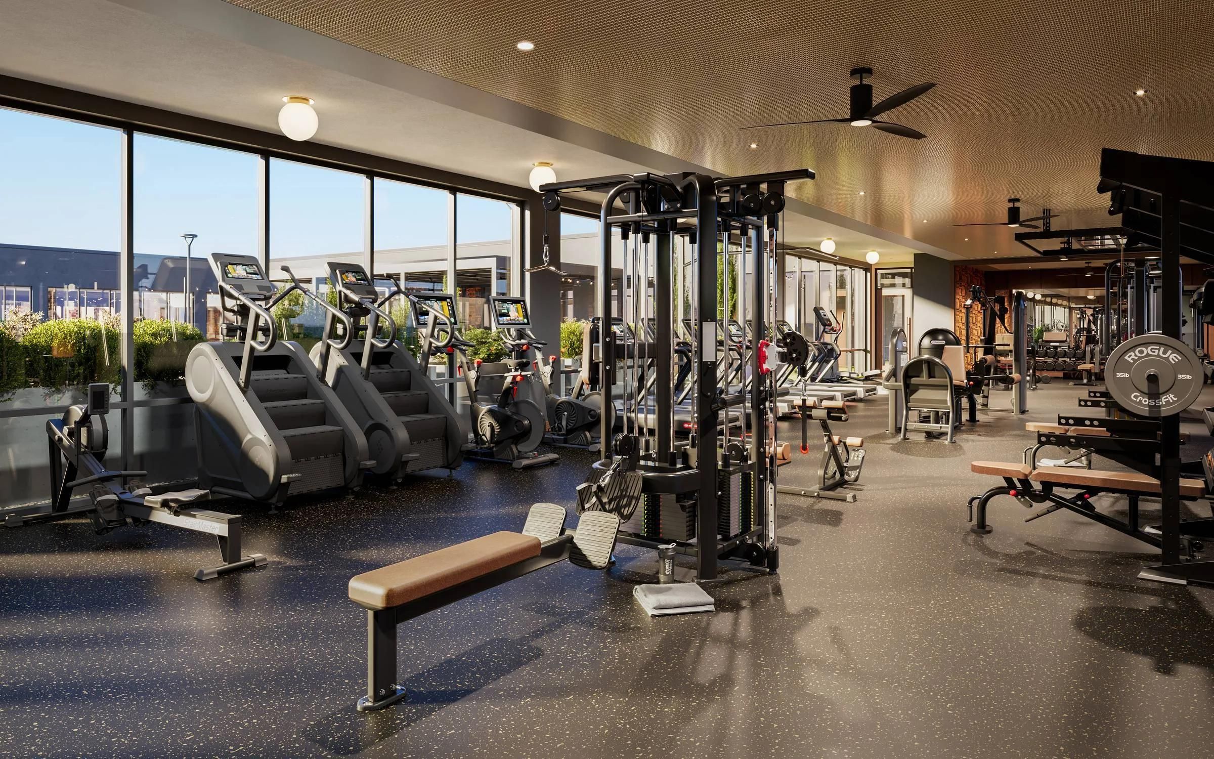 Modern gym with cardio machines, weight benches, strength equipment, and large windows letting in natural light.