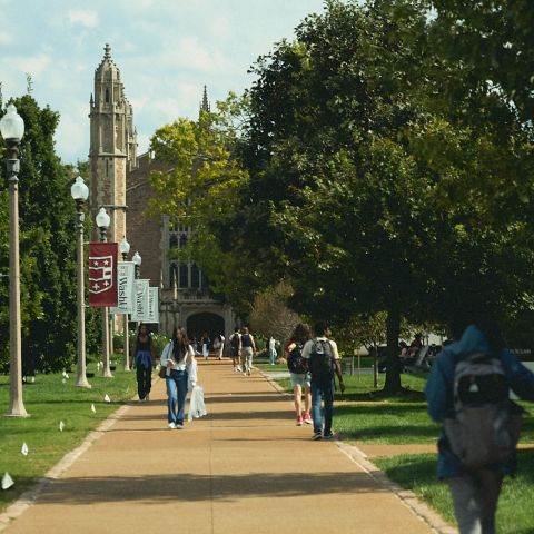 we had a great time delivering smoothies today! ☀️🥭🍍🍌🍏 what should LOCAL deliver next? #stl #delmarloop